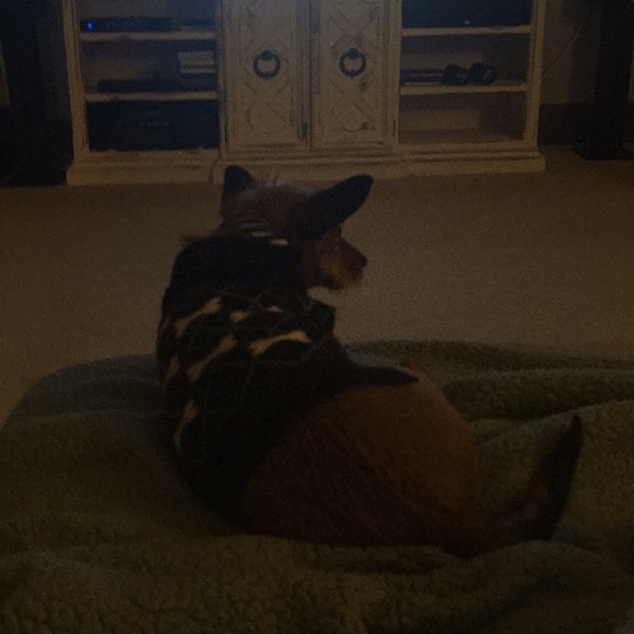 Meet your Posher, Brenda - Picture 1 of 1